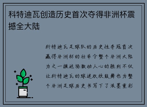 科特迪瓦创造历史首次夺得非洲杯震撼全大陆 科特迪瓦创造历史首次夺得非洲杯震撼全大陆